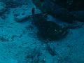 Unter Wasser (51)
